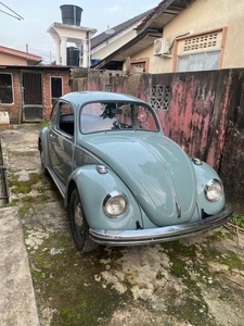 Volkswagen Beetle 1974 fully restore