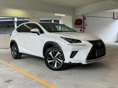 Lexus NX 300 2.0 iPACKAGE BSM RED LEATHER (A)