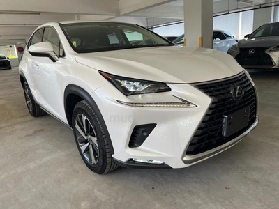Lexus NX 300 2.0 I PACKAGE/2CAM/BLACK LEATHER