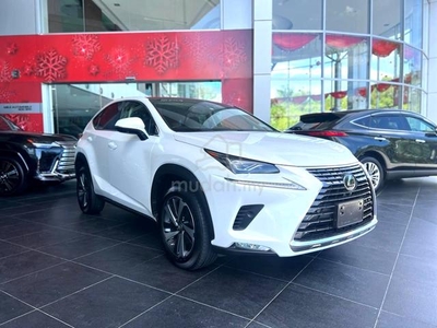 Lexus NX 300 2.0T (A) I - Package (Facelift)