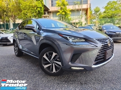2018 LEXUS NX300 2.0 iPACKAGE BROWN LEATHER GREY BODY SPECIAL OFFER