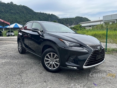 Recon UNREG 2018 Lexus NX300 2.0 I-PACKAGE SUV MANY UNIT OFFER GRADE 4.5 - Cars for sale