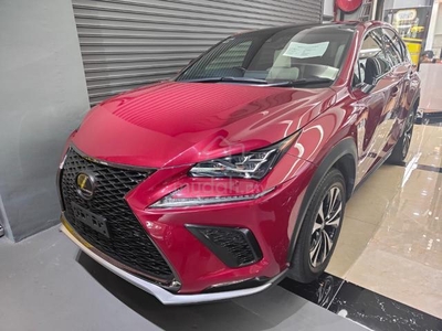 Lexus NX 300 2.0 F SPORT 4WD BSM JPN SPEC