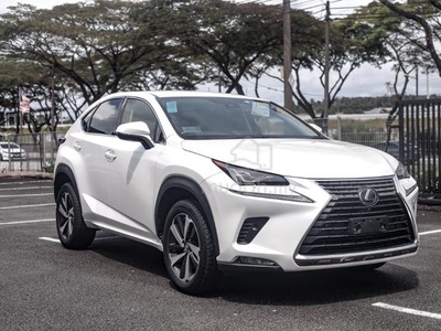 Lexus NX 300 2.0 I-Package *Red Leather