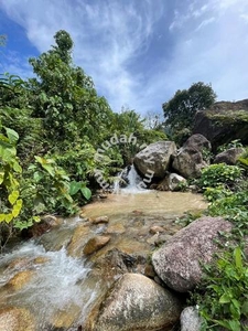 Dusun durian cantik mempunyai sungai 2 aliran sesuai utk homestay 1.2M