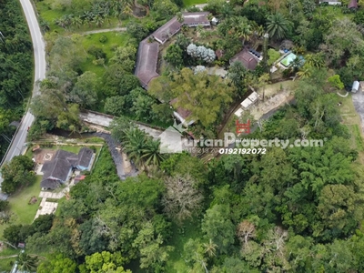 Agriculture Land For Sale at Janda Baik