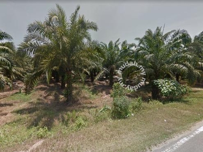 105 acres PALM OIL LAND at Karangan, Kedah | FOR SALE