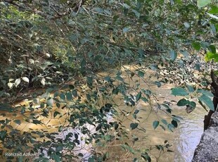(Ada sungai) TANAH DUSUN Rumah Kg Sungai Sekamat Bukit Dukong Cheras