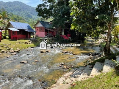 Agriculture Land For Sale at Janda Baik