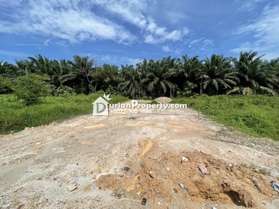 Agriculture Land For Sale at Pulau Indah