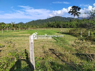 Residential Land For Sale at Besut