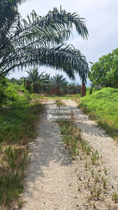 Telok Mengkuang 24 Acres Zoning Industrial Land for Sale