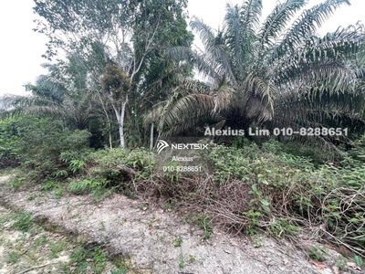 For Sale 2.5 Acre Agriculture Land @ Housing Zone, Ulu Tiram