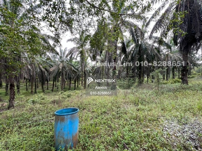 For Sale - 6 Acre Agriculture Land @ Mawai, Kota tinggi