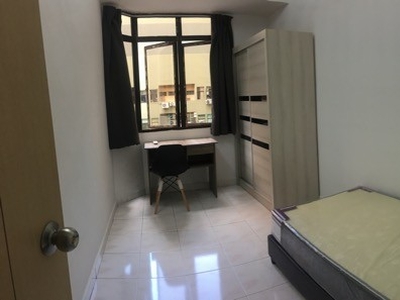 Single Room at Midlands Condominium, Pulau Tikus
