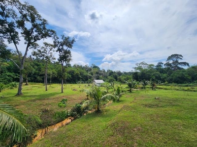 Tanah Pertanian 3.25ekar Kampung Jeram Beserah, Kuantan