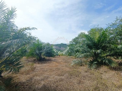 2.6054 acres Palm oil Land at Kg Timah, Tg Tualang Perak
