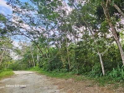 3.1604 acres Rubber Estate at Kg Timah, Tg Tualang Perak
