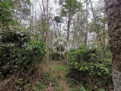 3.88 acres Rubber estate at Sungkai, Perak
