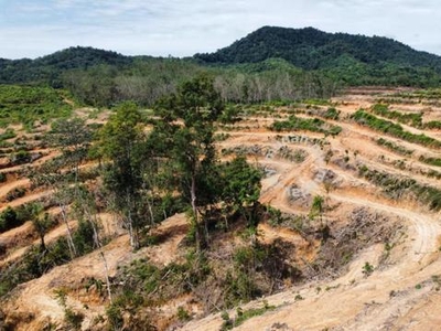 6.2 acres Vacant Land at Slim River,Perak