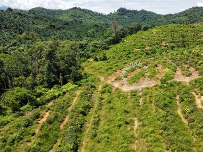6.725 acres Vacant Land at Trolak Selatan, Slim River Perak