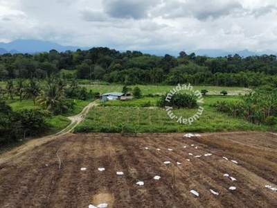 9.6124 acres Vege Farm at Simpang Pulai, Perak