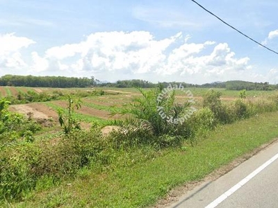 AGRICULTURAL Land (Freehold) Road frontage, Kuala Kangsar