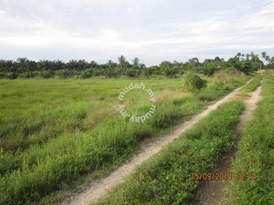 Agriculture Land at Bagan Serai, Perak