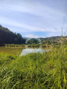 Bentong Land near Dharma Buddhist University