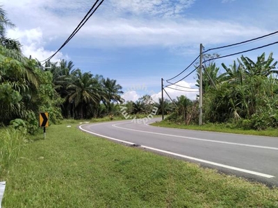 Freehold 8.67 acres first lot Palm oil land at Sungai siput,Perak