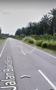 Selama, Perak, Freehold, Agricultural, Oil Palm Farm, Roadside