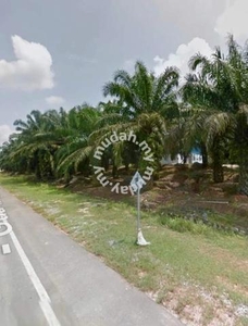 FREEHOLD Kelantan Renok Gua Musang 3310 acres Palm Oil Land SALE