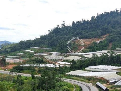Gua Musang Kelantan land for sale at Lojing Lojing Highlands 277 acres