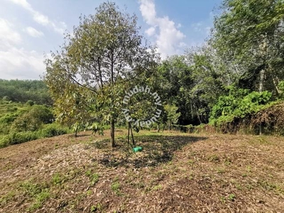 Land/5 acre/with Pond/FREEHOLD