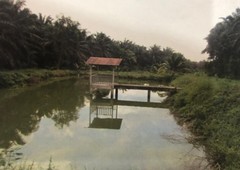 [WTS] Freehold Big Sized Oil Palm Land in Karak Bentong Pahang