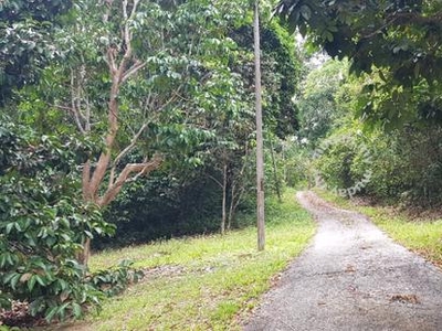 Tanah 2 Ekar 1 km Di Pinggiran Pekan Kuala Pilah