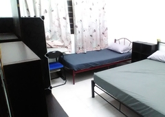 Fully Furnished Master Room w. Utilities & Private Bathroom for Rent