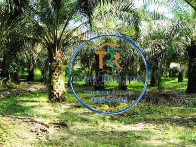 17 Acres Freehold Heavy Industrial Land at Gurun