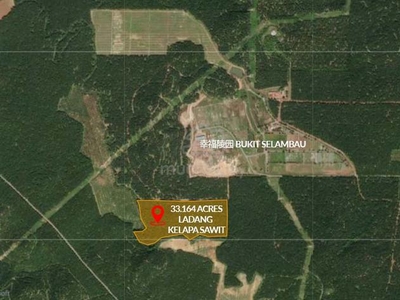 Bukit Selambau Oil Palm Plantation For SALE