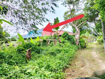 Tanah 1 ekar Kg Chengal Kadok Kota Bharu