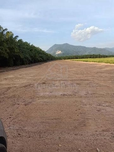 Tanah lot 4000 kp di Sg Pial