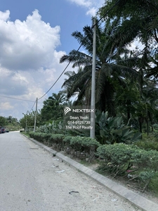 Ulu Choh Gelang Patah Oil Palm Land, Industrial Zoning