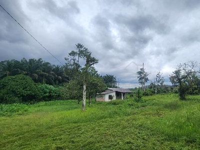 Agriculture land for rent near Gamuda Garden, Rawang