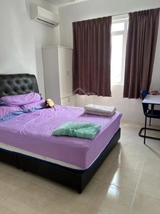 Dpiazza Bayan Baru 3 Bedroom 1300 SQFT Fully Furnished