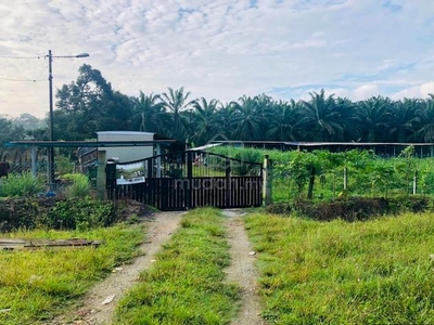 Freehold,Non-Bumi,Cattle Farm,50 minutes from KL- Lukut, Port Dickson