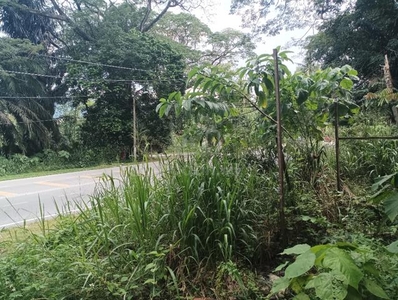 Semenyih Sg Lalang Road Frontage