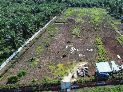 Tanjung bin agricultural land
