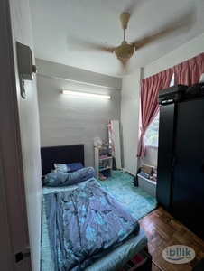 Single Room at Gelugor, Penang