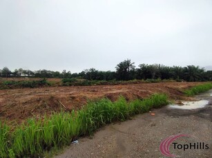 Agricultural Land for Rent Ulu Tiram
