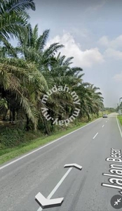 Bukit Teh Jalan Besar Beside Road Agricultural Land For Rent